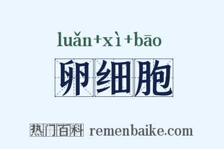 卵细胞是什么意思的图片